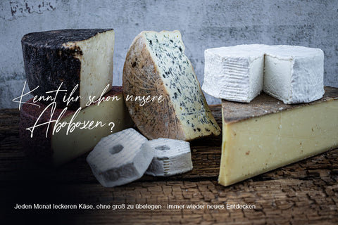 Aboxen News - jeden Monat aktuell