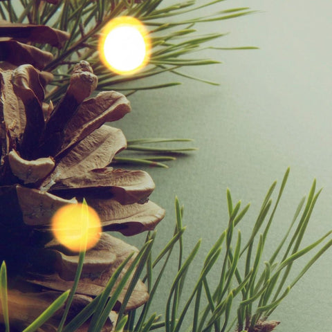 **** Adventskalender 2025 **** Limitiert